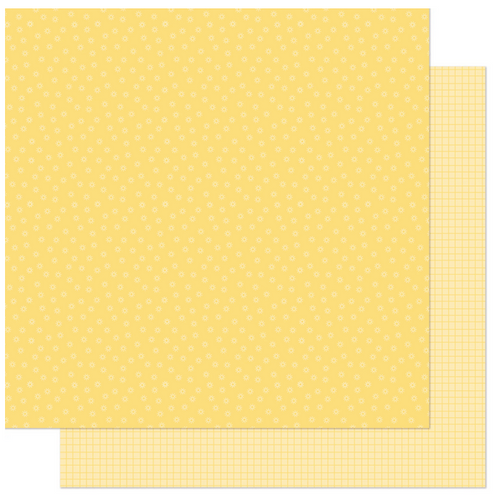 Lawn Fawn - 12x12 Dbl Sided Patterned Paper - Frozen Lemonade - LF3401