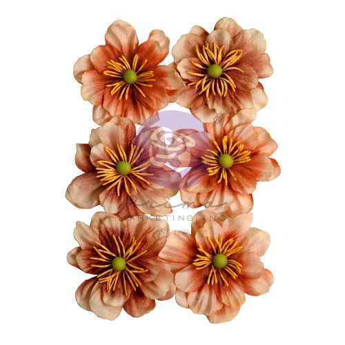Prima - Paper Flowers 6/Pkg - The Home Baker - Caramel Delight - 672751