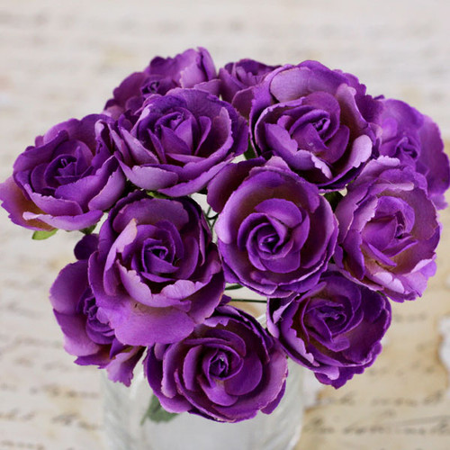 Prima - Paper Flowers 8/Pkg  - Soprano - 561697