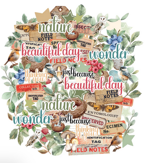 Uniquely Creative - Creative Cuts - Botanical Chronicles - UCP2975