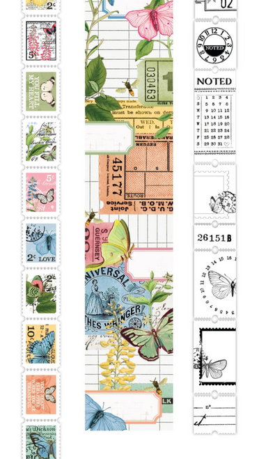 Katie Pertite - Arden - Ephemera Rolls - Field Notes - ACSER0001