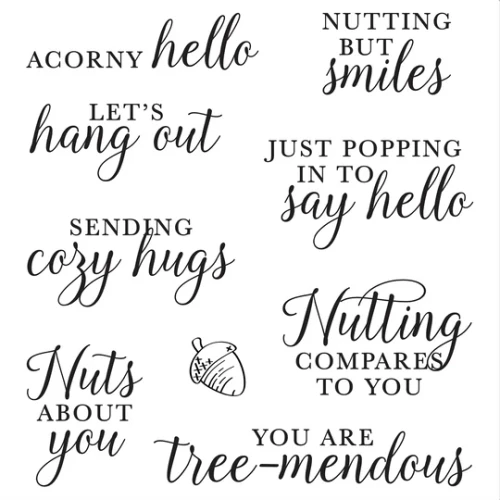 LDRS Creative - Acorny Hello Sentiments 4x4 Stamps - 3639