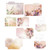 49 and Market - ARToptions Plum Grove - File Essentials (APG38558)