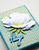 Memory Box Paper Pad 6"X6" 24/Pkg - Anemone Grove - PP1026