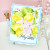 LDRS Creative - Fruit Tree 5x7 Stamps, Die & Embossing Folder - Bundle