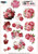 Find It Trading - Floral Elegance - 3D Pushout Sheet - Peony Delight - SB11079