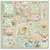 Stamperia - Collection Pack 12x12 - Daisy Art - SBBL182