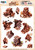 Find It Trading - Sweet Moments - 3D Pushout Sheet - Chocolate Bliss - SB11086