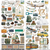 49 And Market - Laser Cut Outs - Travel Diaries - MTD-35902