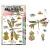 AALL & Create A6 Photopolymer Clear Stamp Set - Glassbound Dragonfly - AALL-TP-1466