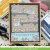 Lawn Fawn - Clear stamps - Mice Tools - LF4065