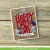 Lawn Fawn - Clear stamp & Stencil Bundle - Mice Tools - LF4065/Lf4066