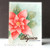 Penny Black - Embossing Folder 6"x6" - 3D POINSETTIA - 65-021