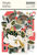 Simple Stories - Bits & Pieces Ephemera 111/Pkg- Mistletoe & Holly - 27719