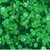 Trinity - Sparkle Spots Confetti  - Emerald - 0046