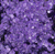 Trinity - Sparkle Spots Confetti  - Grape -  0244