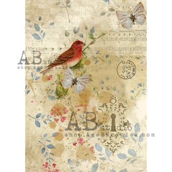 AB Studios - Decoupage Rice Paper - No. 0408 - Bird & Flowers (No 0408)