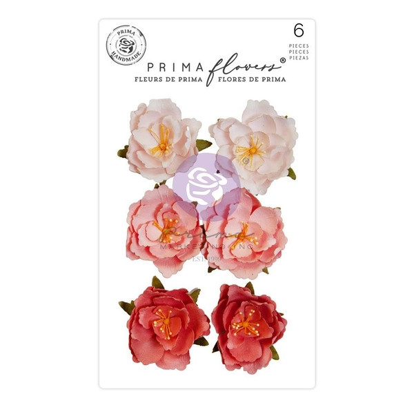Prima Marketing - Flowers 6/Pkg - The Plant Department - Rooted (P664398)