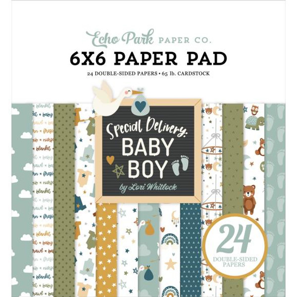 Echo Park - Double-Sided Paper Pad 6"X6" 24/Pkg - Special Delivery Baby Boy - DB353023 (691835348391)