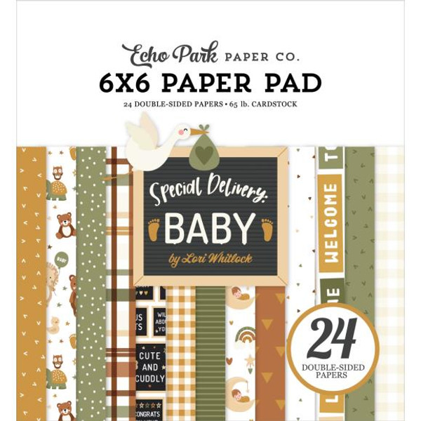 Echo Park - Double-Sided Paper Pad 6"X6" 24/Pkg - Special Delivery Baby - DY355023 (691835353791)