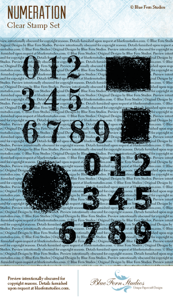 Blue Fern Studios - Photopolymer Stamp Set - Maison - Numeration