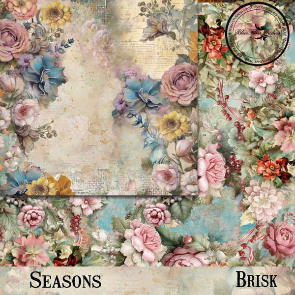 Blue Fern Studios - 12x12 Dbl Sided Paper - Seasons - Fall/Winter - Brisk