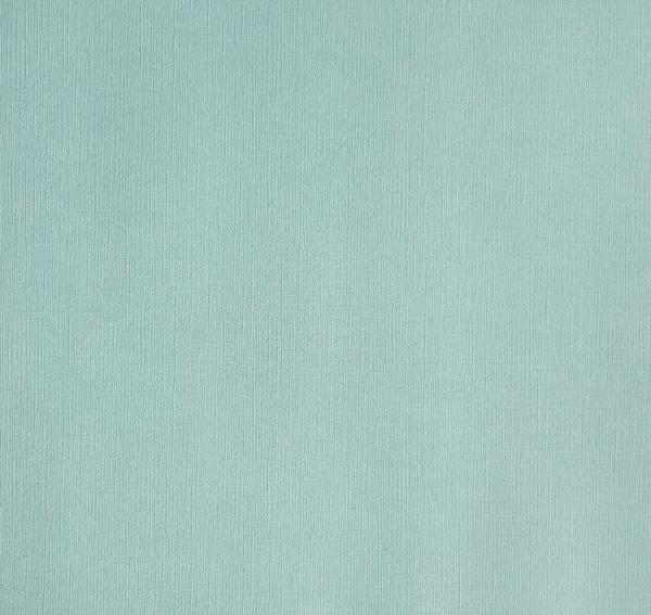 My Colors - Canvas 80lb Cover Weight Cardstock 12"X12" - Aquamarine - TO55528