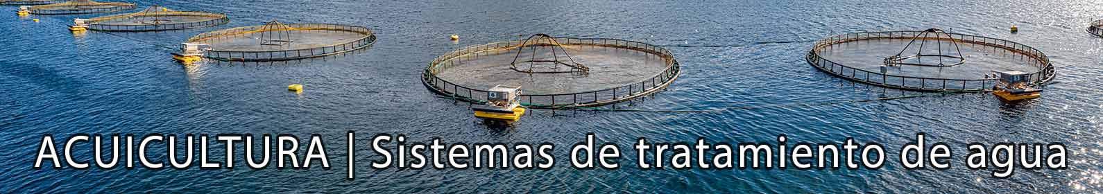 spanish-aquaculture-banner-min.jpg