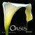 Oasis: Easter (CD)