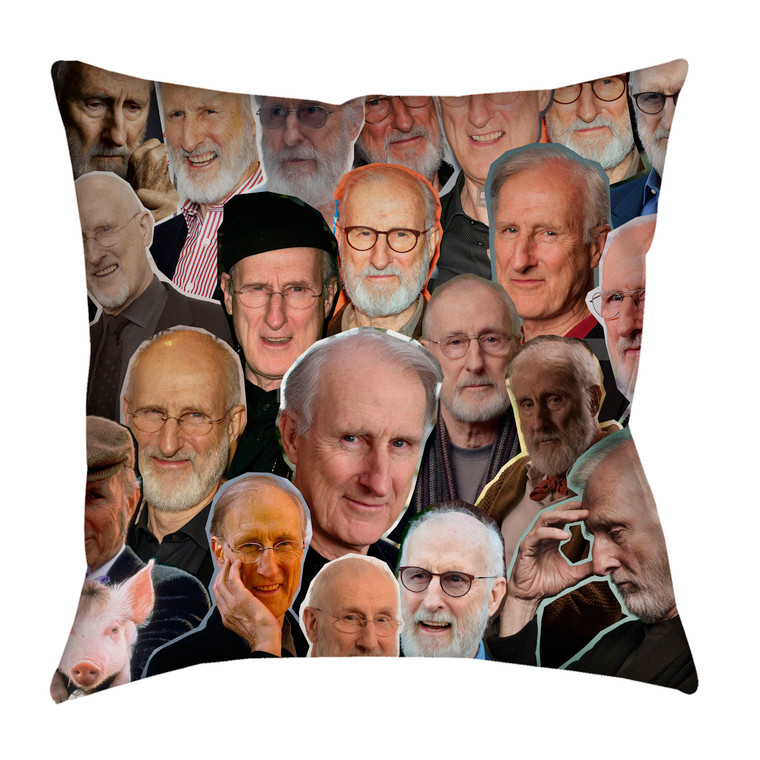 James Cromwell  Photo Collage Pillowcase   