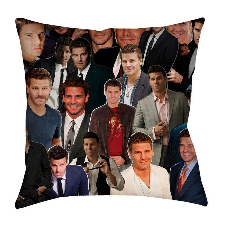 David Boreanaz pillowcase