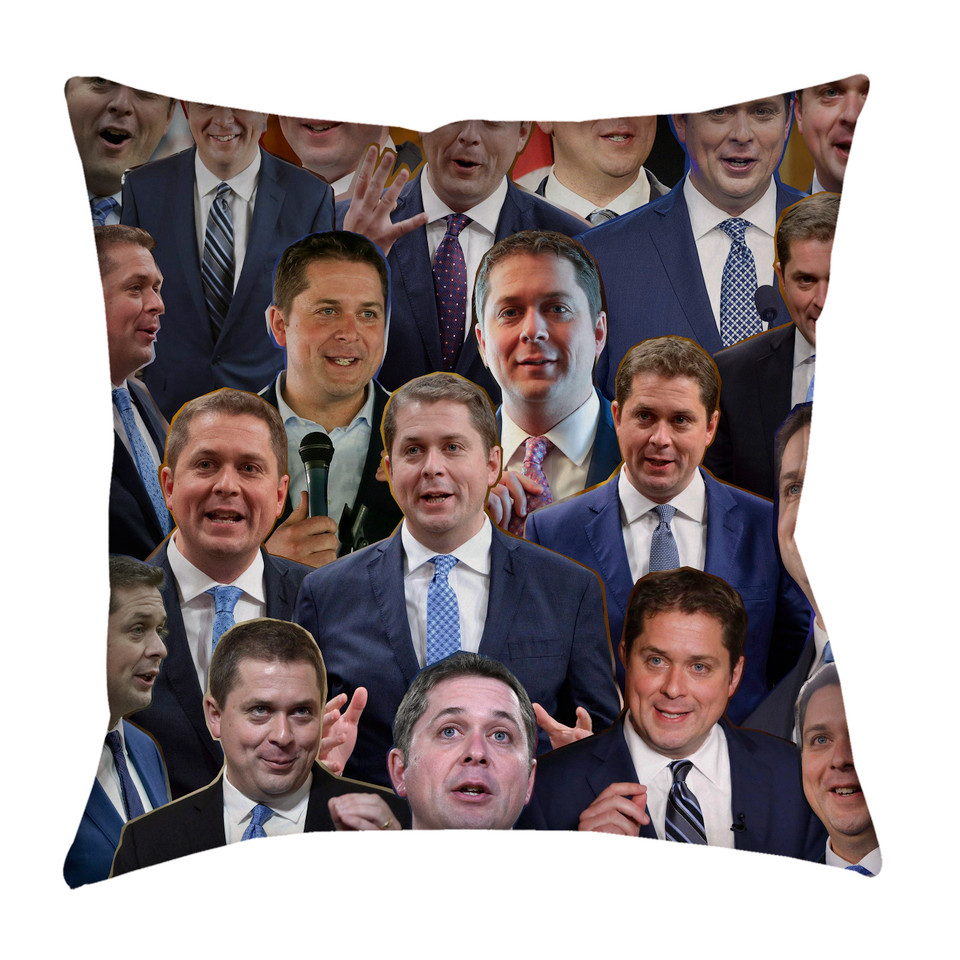 Andrew Scheer pillowcase