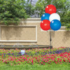 Custom 5 DuraBalloon Reusable Balloon Cluster