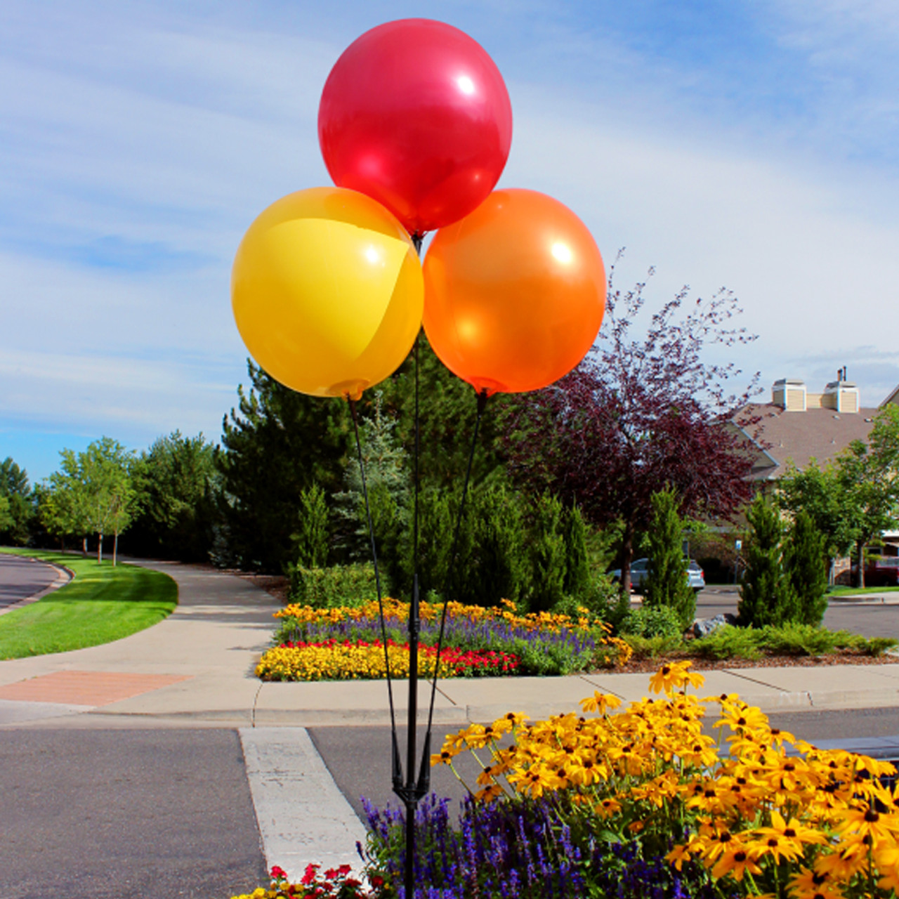 3 DuraBalloon Reusable Balloon Cluster