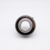 SUC206-20 Stainless Steel Insert Ball Bearing 1-1/4" Bore Back View