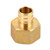 Pex Female Adpt Barb To FPT ¾in Barb x ¾in FPT