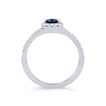 SAPPH02930-U