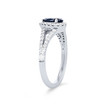 SAPPH02930-A