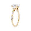 WEBMT02253-A