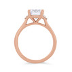 WEBMT02286-U
