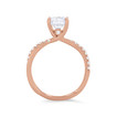 WEBMT02555-U