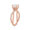 WEBMT02555-A