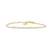 TBMIS06253