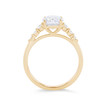 WEBMT02265-U