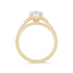 WEBMT02295-U