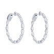 EHOOP03859