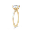 WEBMT02949-A