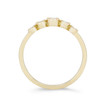BLDSM27390