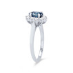 SAPPH09749-A