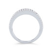 BDRUB00244-U